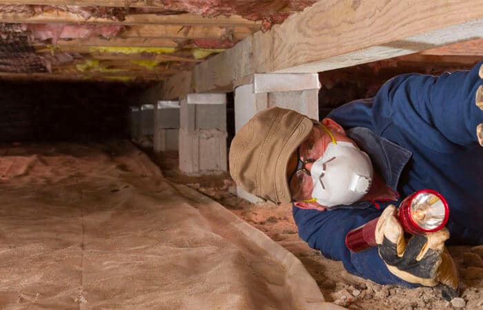 Home Inspector Looks for Termites in Residential House