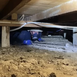 Structural Integrity