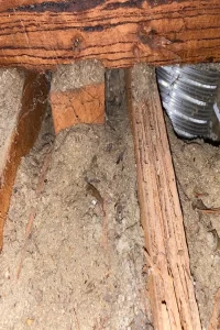 Termite mud leads and damaged timber in a house subfloor area near ventilation ducting.